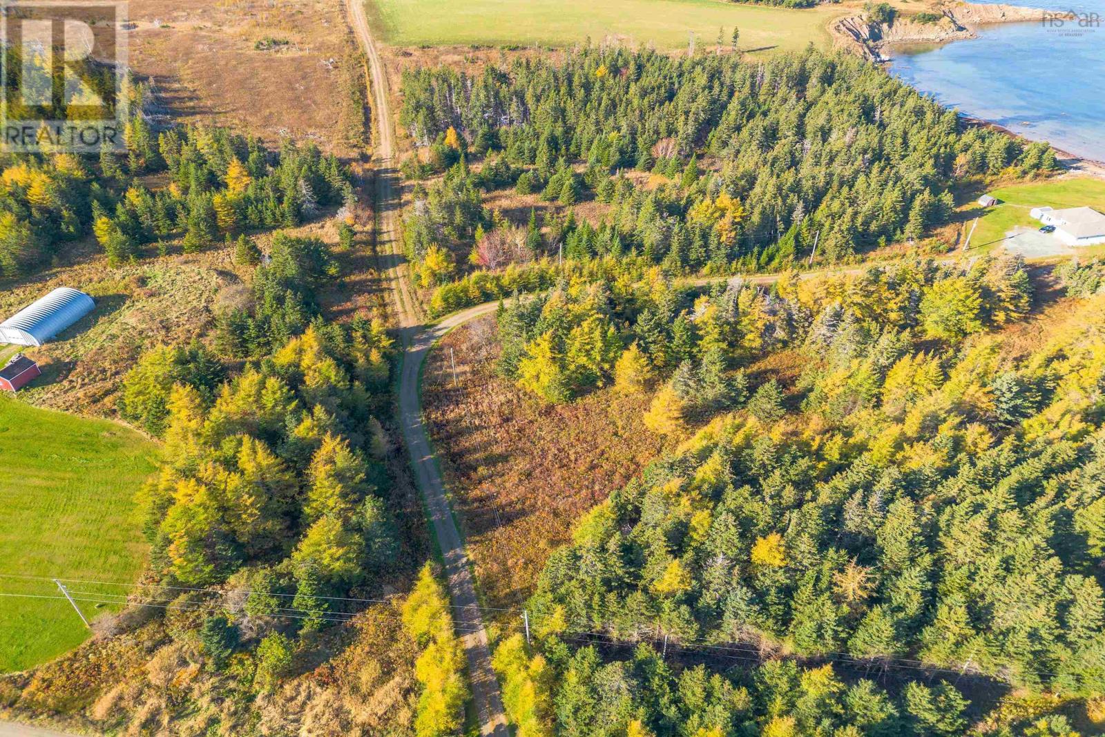 Lower Shore Road, Little Judique, Nova Scotia  B0E 1P0 - Photo 15 - 202603000