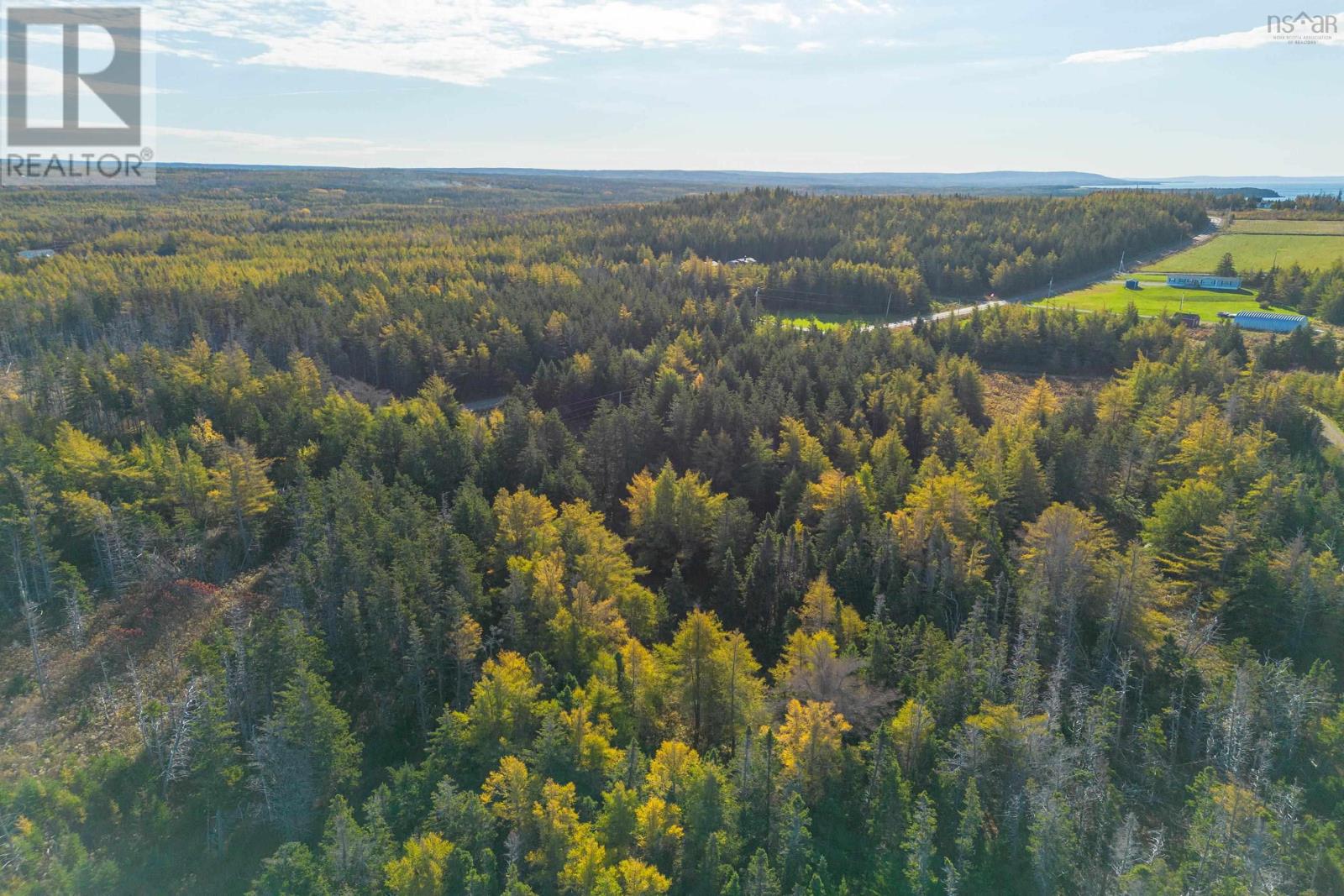 Lower Shore Road, Little Judique, Nova Scotia  B0E 1P0 - Photo 21 - 202603000