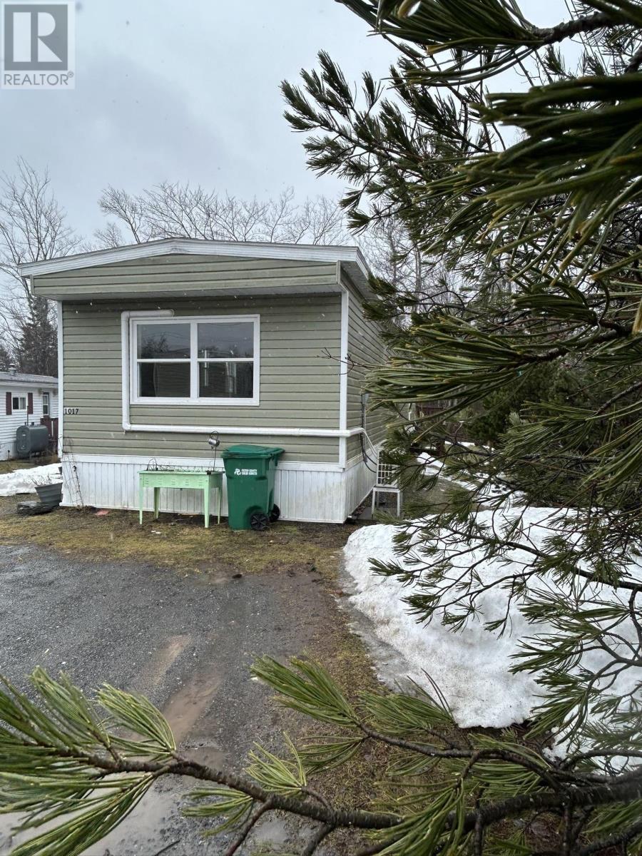 1017 Poplar Street, Westville, Nova Scotia  B0K 1S0 - Photo 2 - 202603010