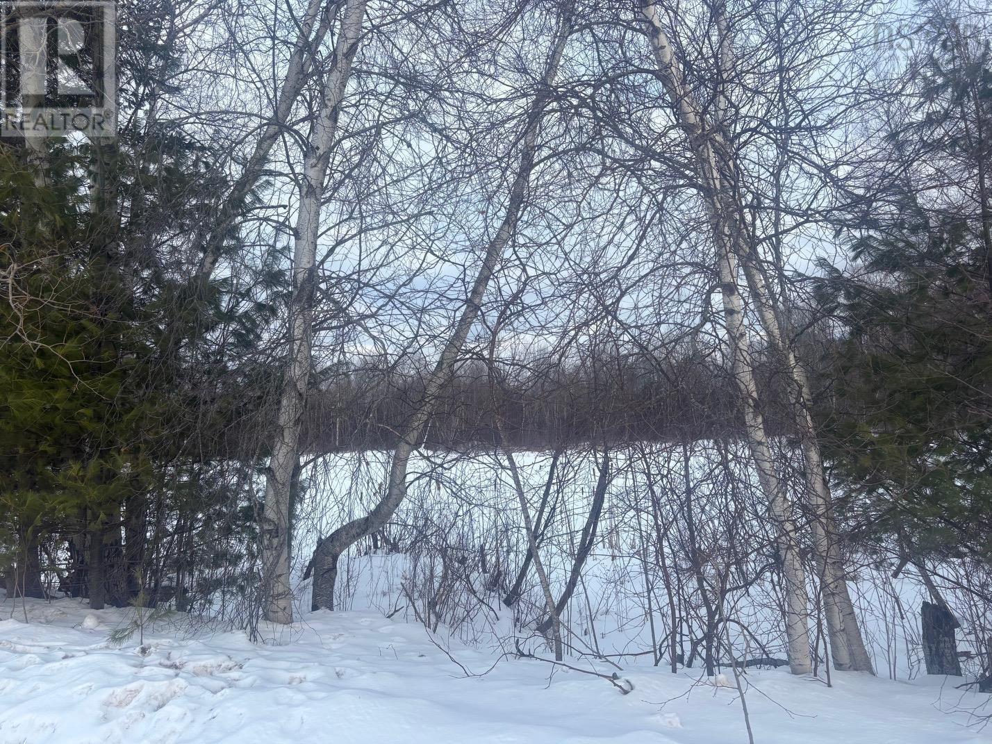 Lot 2026 Hall Road, Factorydale, Nova Scotia  B0P 1C0 - Photo 6 - 202603072