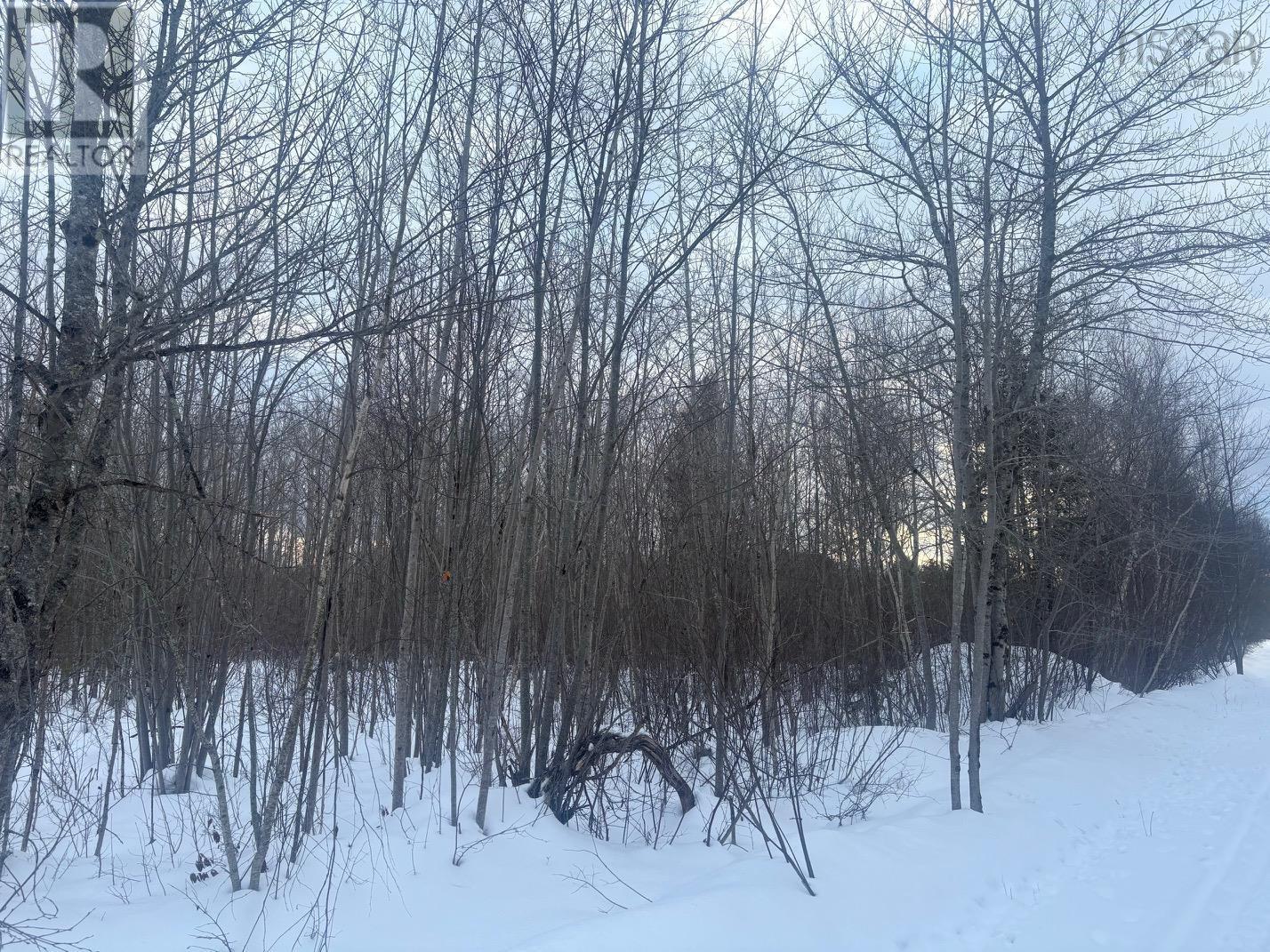 Lot 2026 Hall Road, Factorydale, Nova Scotia  B0P 1C0 - Photo 9 - 202603072