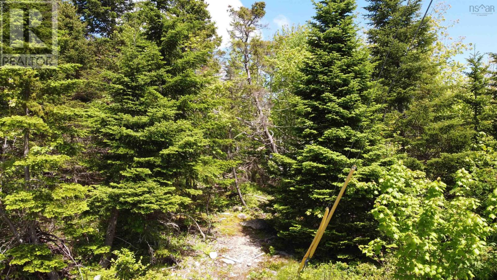 12 Dragonfly Lane, Herring Cove, Nova Scotia  B3V 0C6 - Photo 11 - 202603190