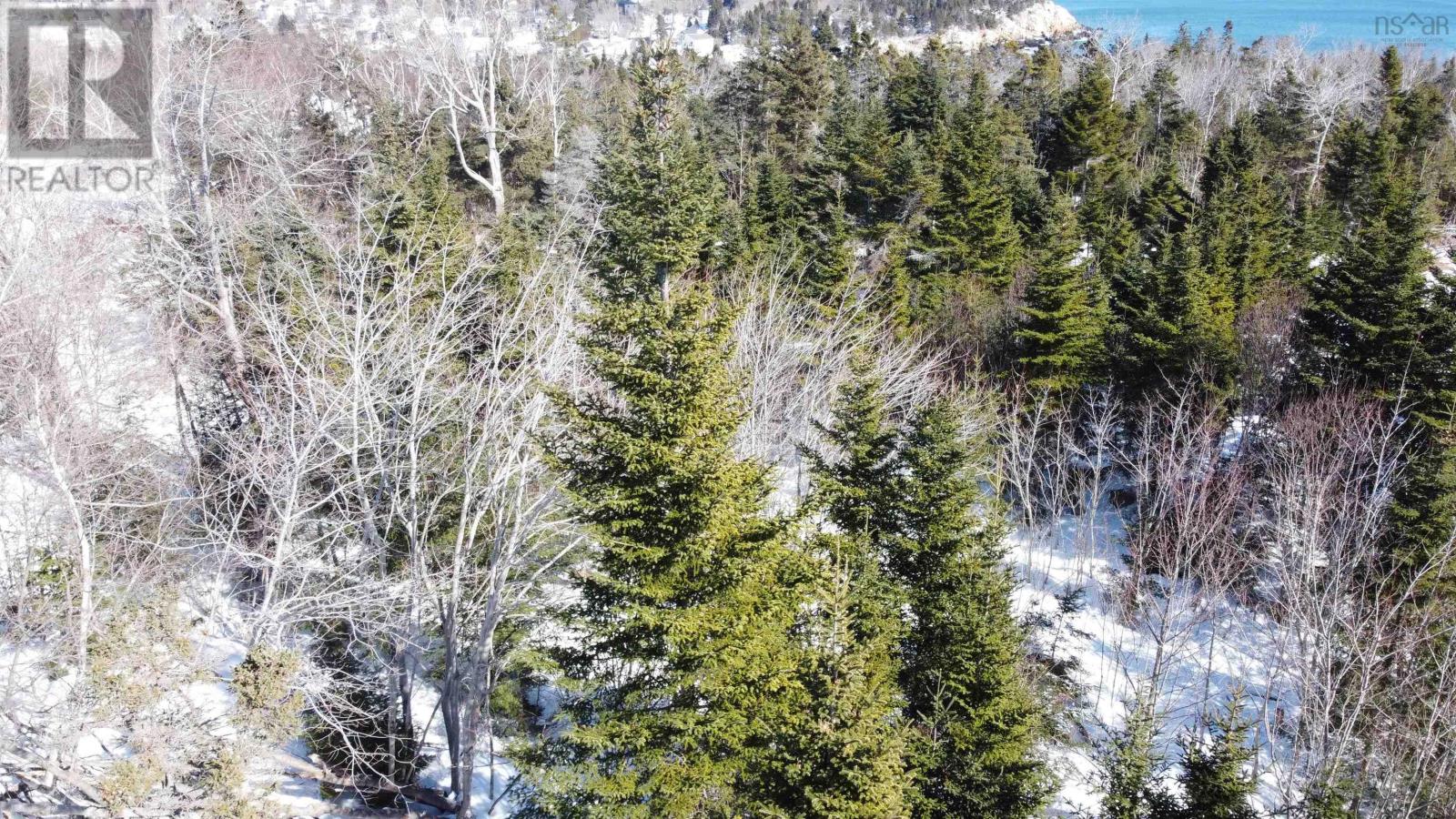 12 Dragonfly Lane, Herring Cove, Nova Scotia  B3V 0C6 - Photo 3 - 202603190