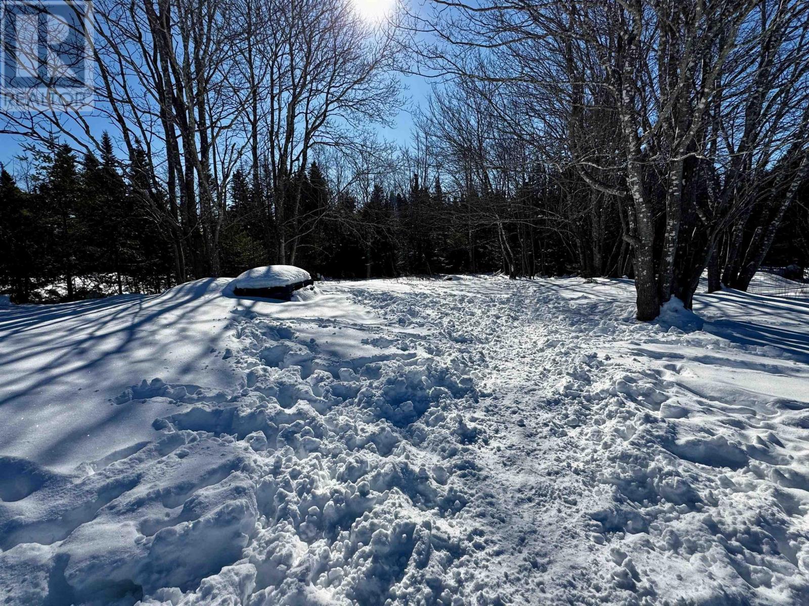 85 Highway 320, Grande Anse, Nova Scotia  B0E 1V0 - Photo 23 - 202603214