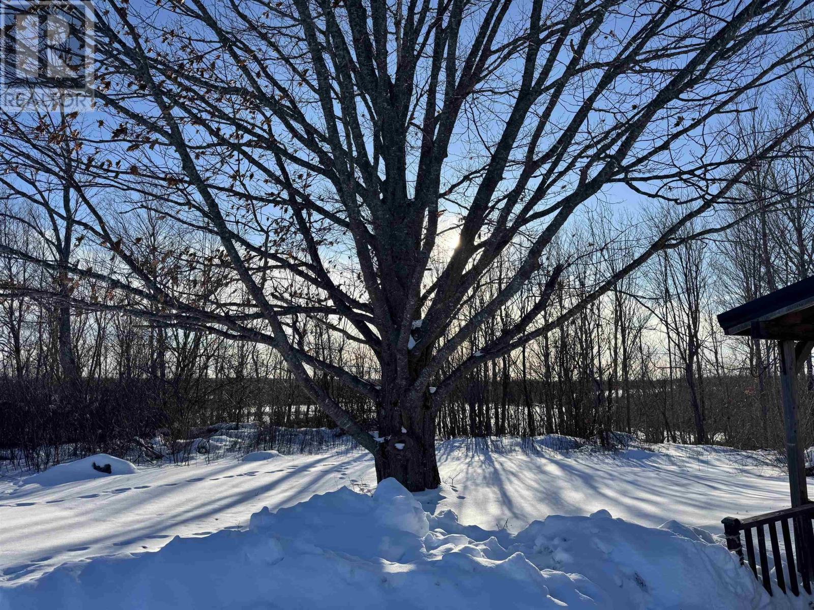 150 Roger Road, Welsford, Nova Scotia  B0K 1N0 - Photo 22 - 202603232