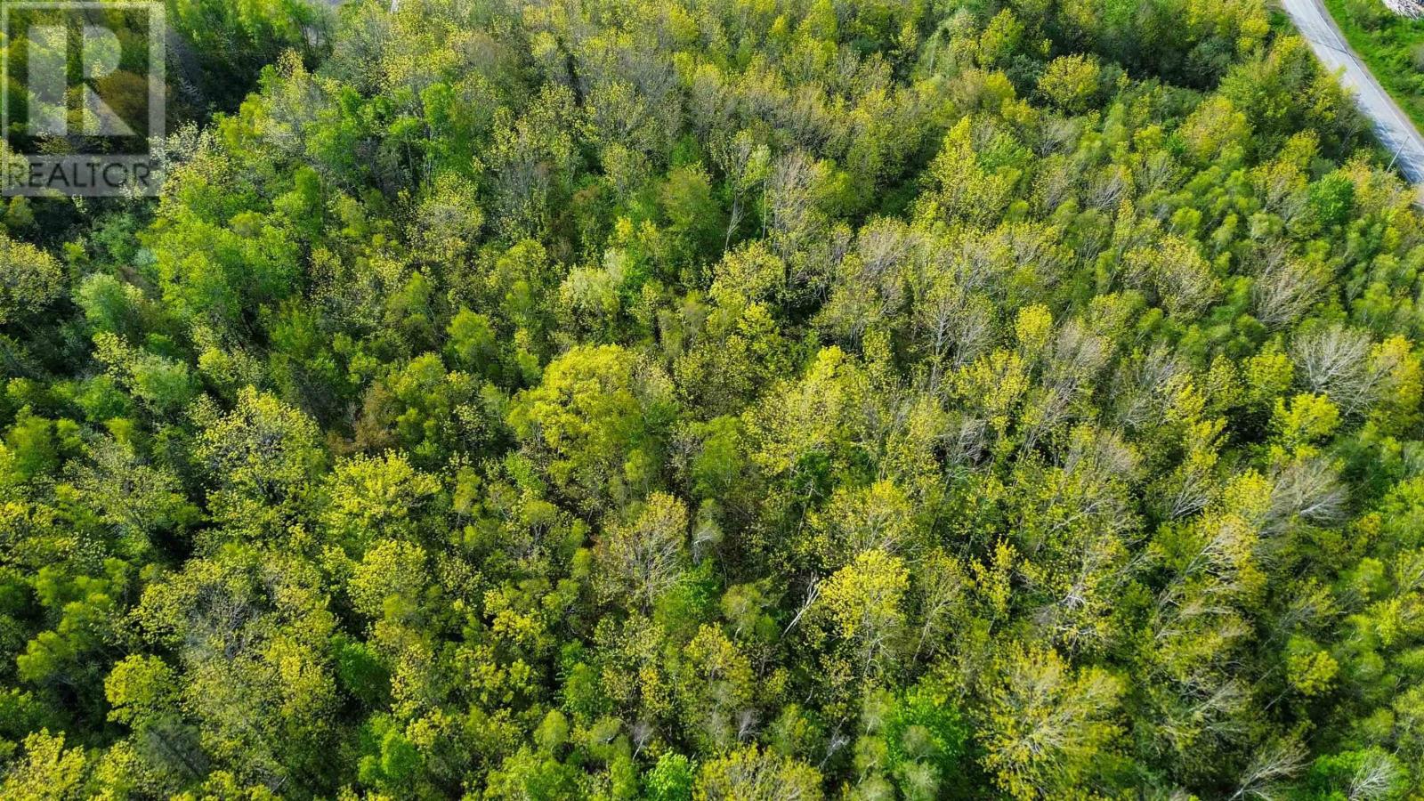 Lot 11 Bluff Road, Avonport Station, Nova Scotia  B0P 1P0 - Photo 10 - 202603292