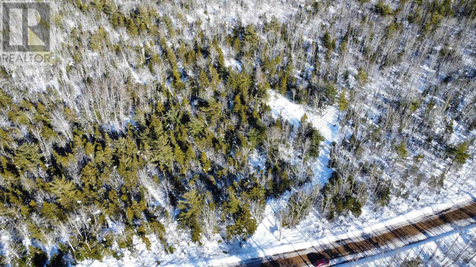 13 Trout Lake Road, New Albany, Nova Scotia  B0S 1P0 - Photo 4 - 202603311