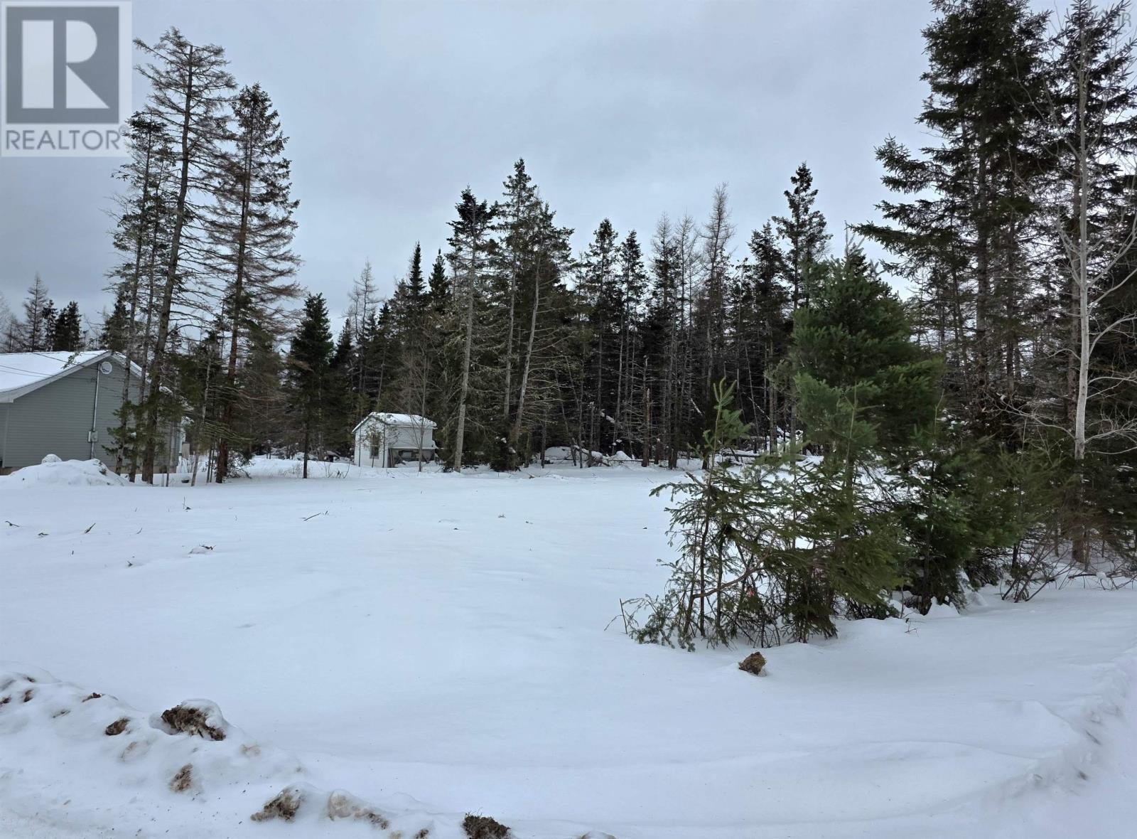 Lot 38 Wild Rose Drive, East Mountain, Nova Scotia  B6L 2Y4 - Photo 3 - 202603319