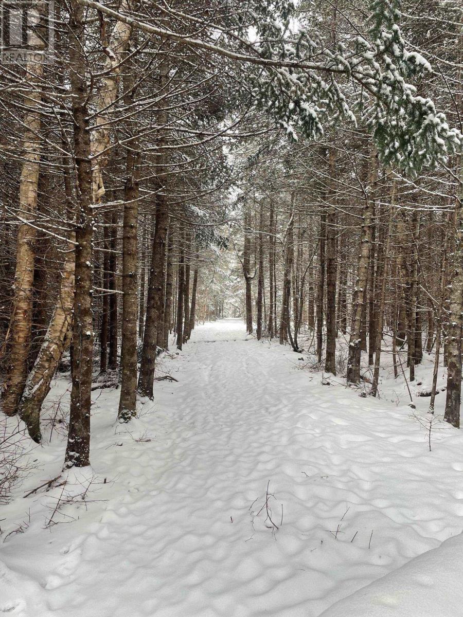 9409 Highway 215, Pembroke, Nova Scotia  B0N 2R0 - Photo 42 - 202603341