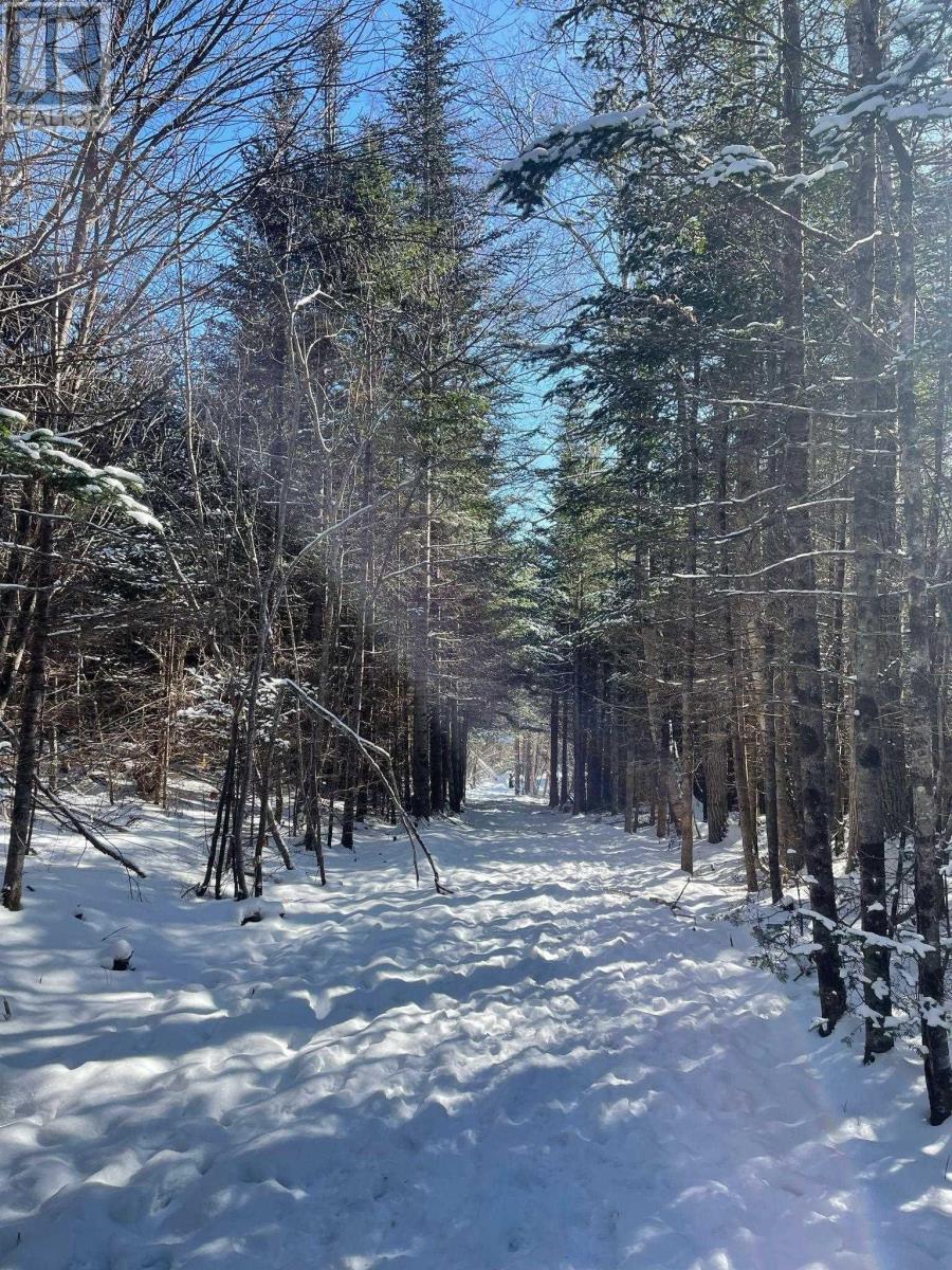 9409 Highway 215, Pembroke, Nova Scotia  B0N 2R0 - Photo 43 - 202603341