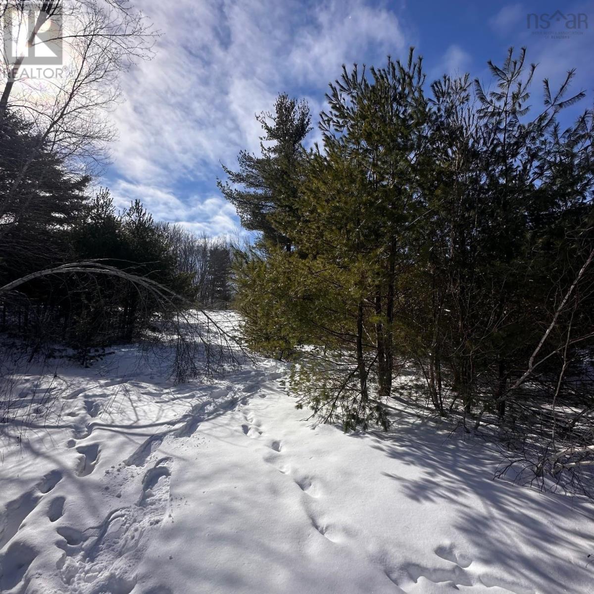 58 Eisenhauer Lane, Bridgewater, Nova Scotia  B4V 2P9 - Photo 11 - 202603338