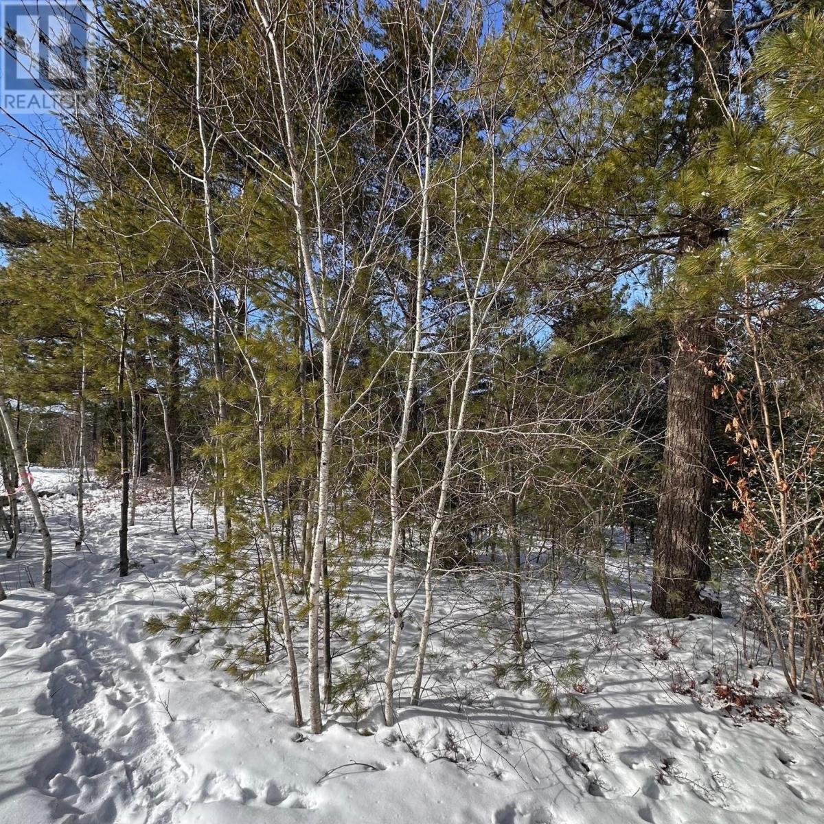 58 Eisenhauer Lane, Bridgewater, Nova Scotia  B4V 2P9 - Photo 12 - 202603338