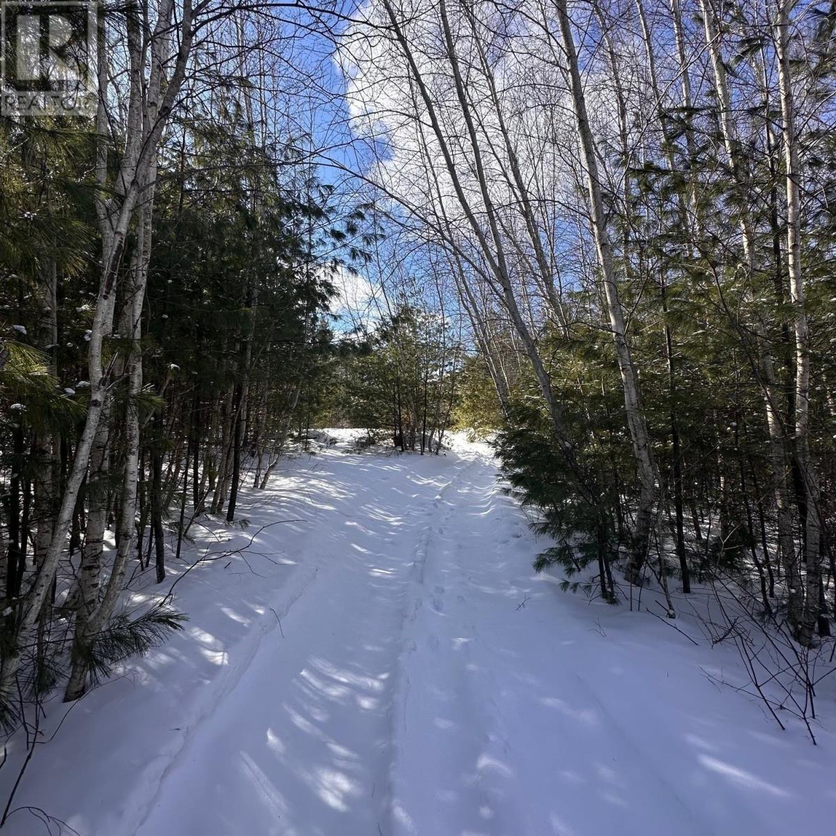 58 Eisenhauer Lane, Bridgewater, Nova Scotia  B4V 2P9 - Photo 13 - 202603338