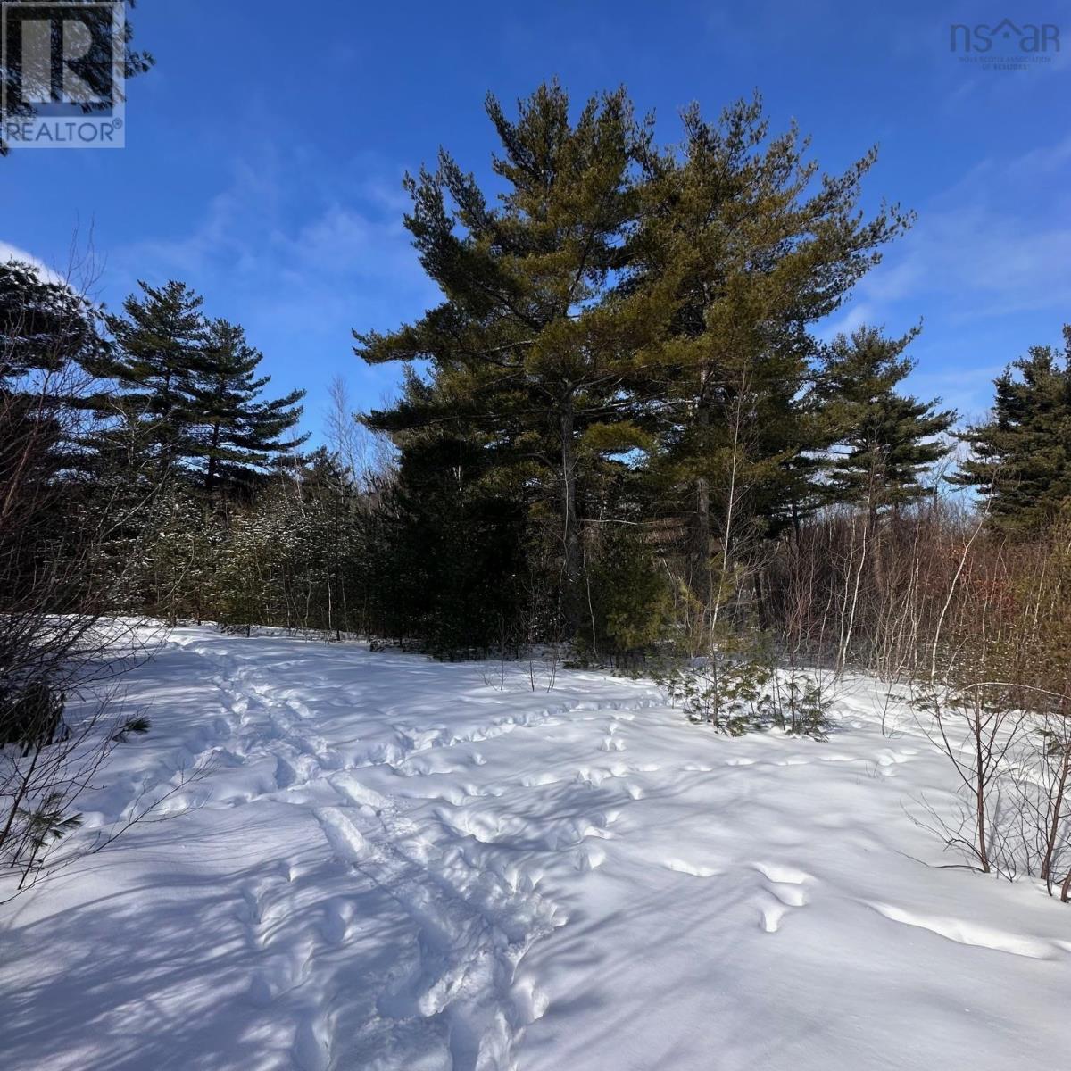 58 Eisenhauer Lane, Bridgewater, Nova Scotia  B4V 2P9 - Photo 2 - 202603338