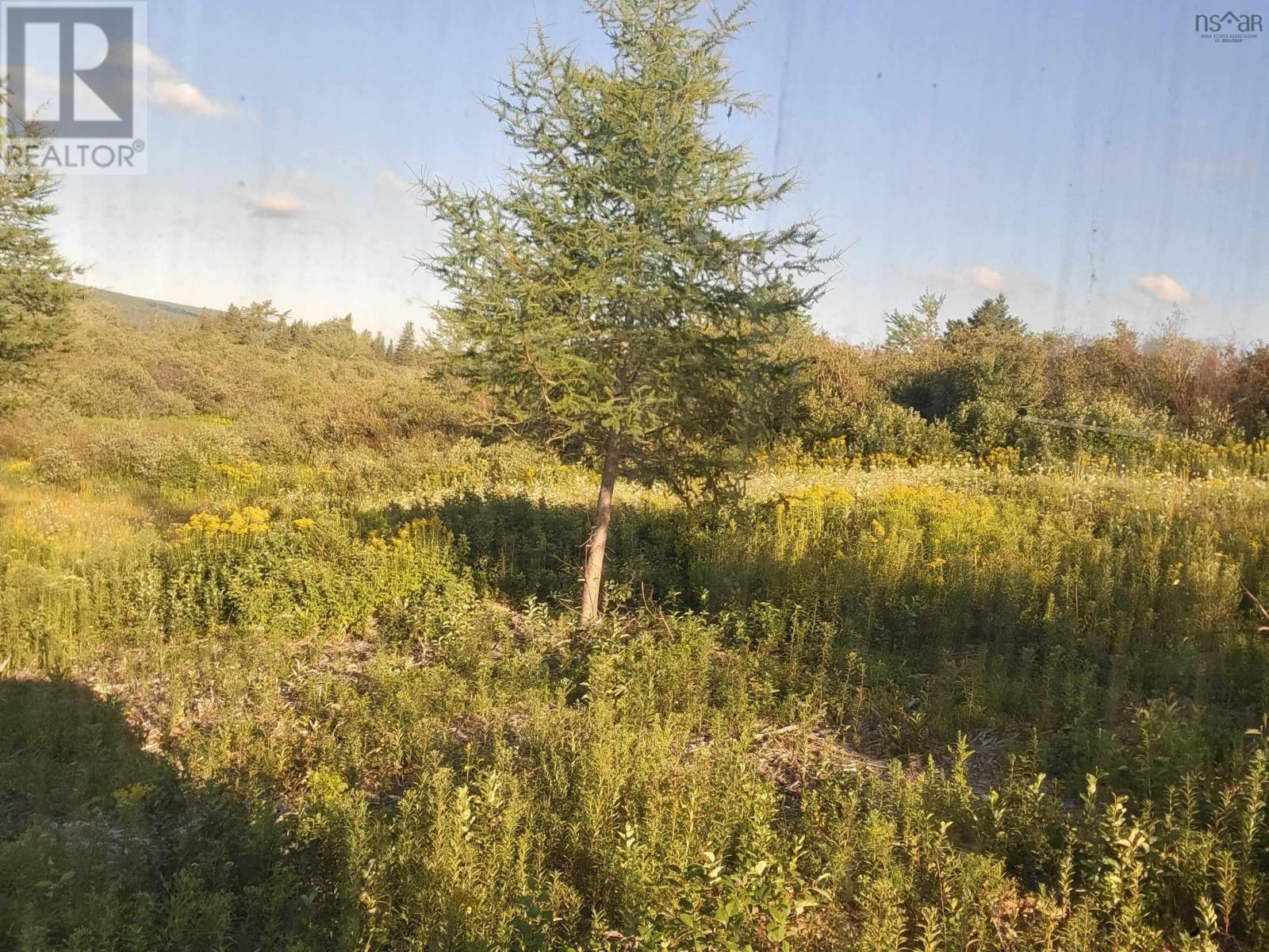 3 & 4 Barren Road, River Denys, Nova Scotia  B0E 2Y0 - Photo 2 - 202603358