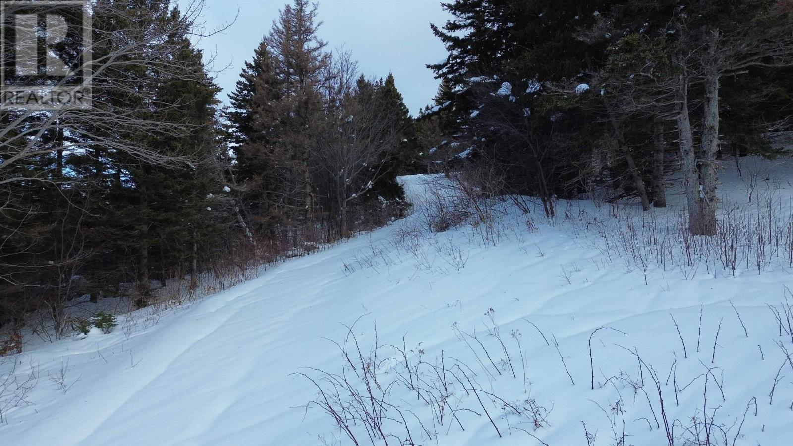 3166 Highway 19, Craigmore, Nova Scotia  B0E 1P0 - Photo 13 - 202603374