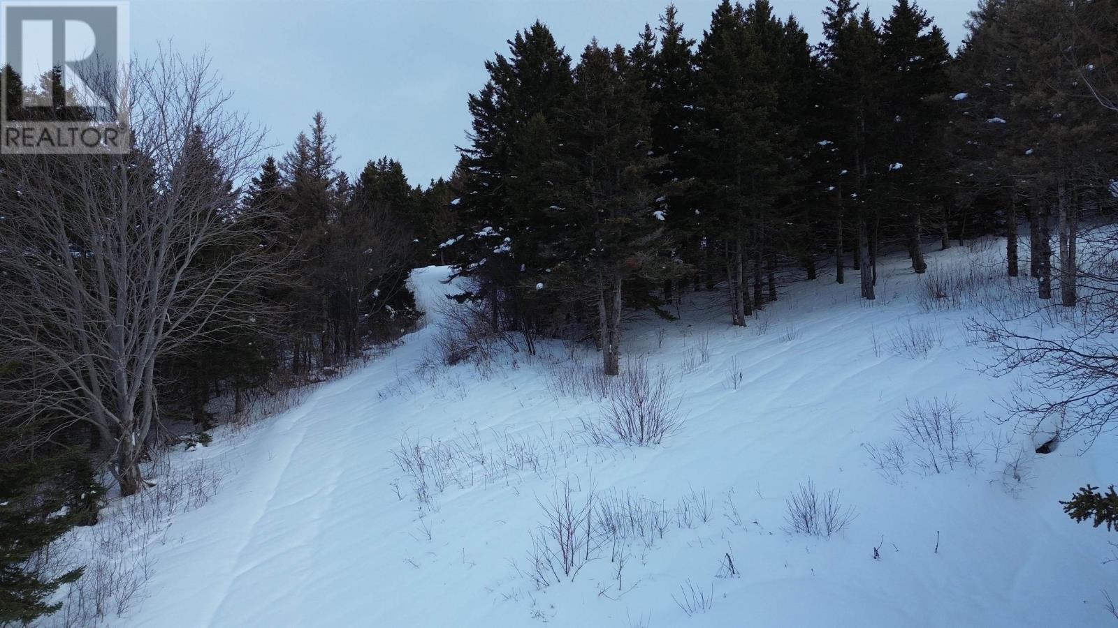 3166 Highway 19, Craigmore, Nova Scotia  B0E 1P0 - Photo 15 - 202603374