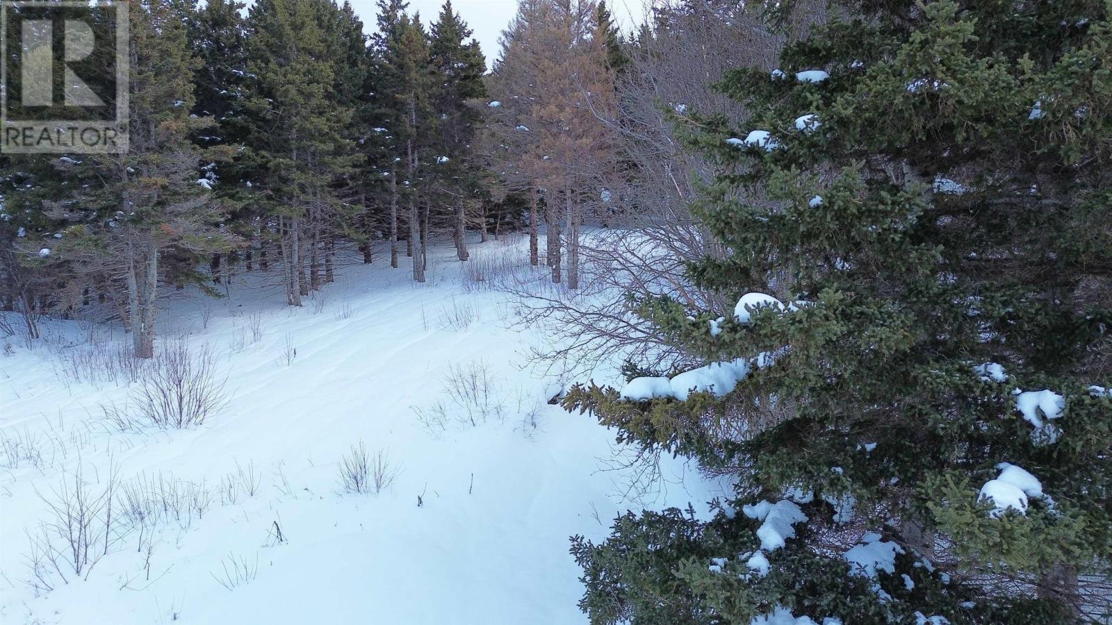 3166 Highway 19, Craigmore, Nova Scotia  B0E 1P0 - Photo 16 - 202603374