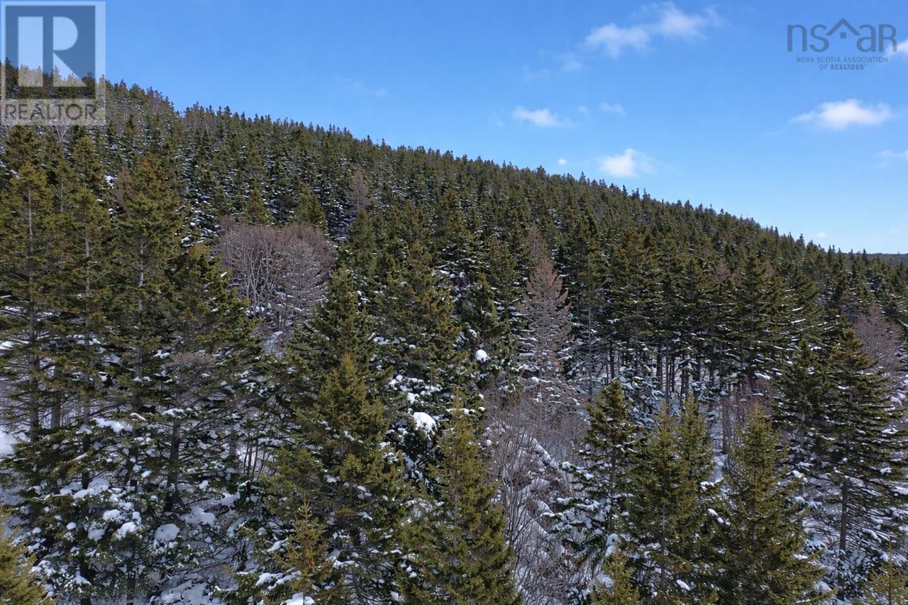 3166 Highway 19, Craigmore, Nova Scotia  B0E 1P0 - Photo 20 - 202603374