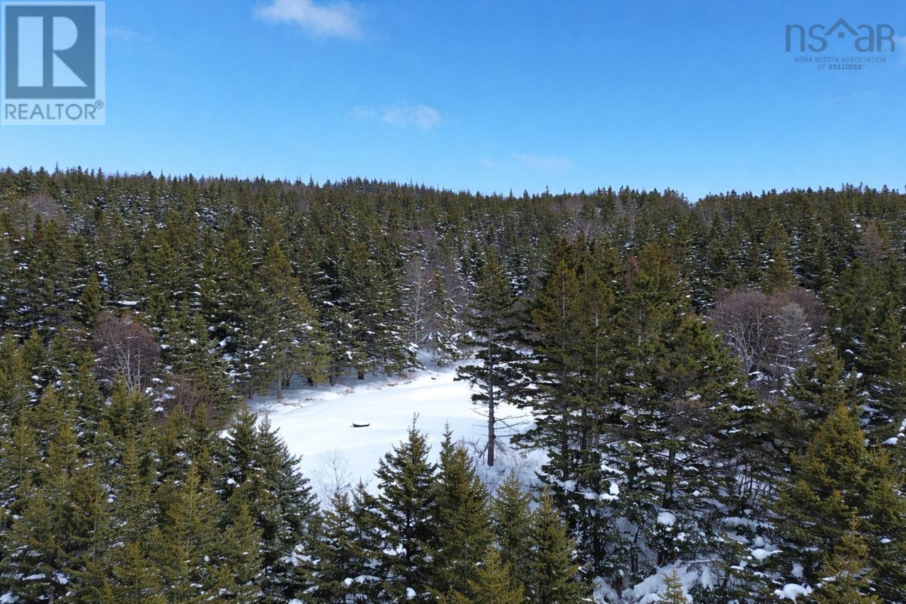 3166 Highway 19, Craigmore, Nova Scotia  B0E 1P0 - Photo 21 - 202603374