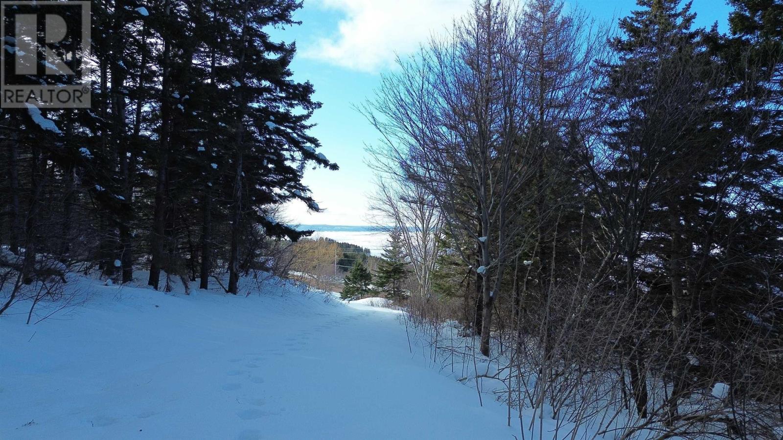 3166 Highway 19, Craigmore, Nova Scotia  B0E 1P0 - Photo 4 - 202603374