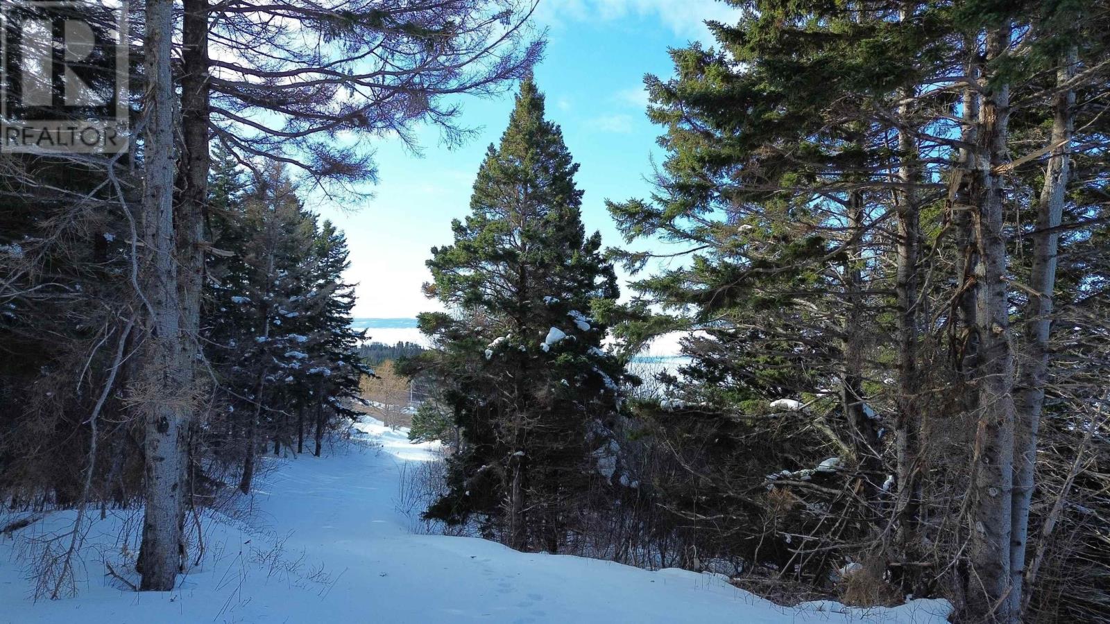 3166 Highway 19, Craigmore, Nova Scotia  B0E 1P0 - Photo 6 - 202603374