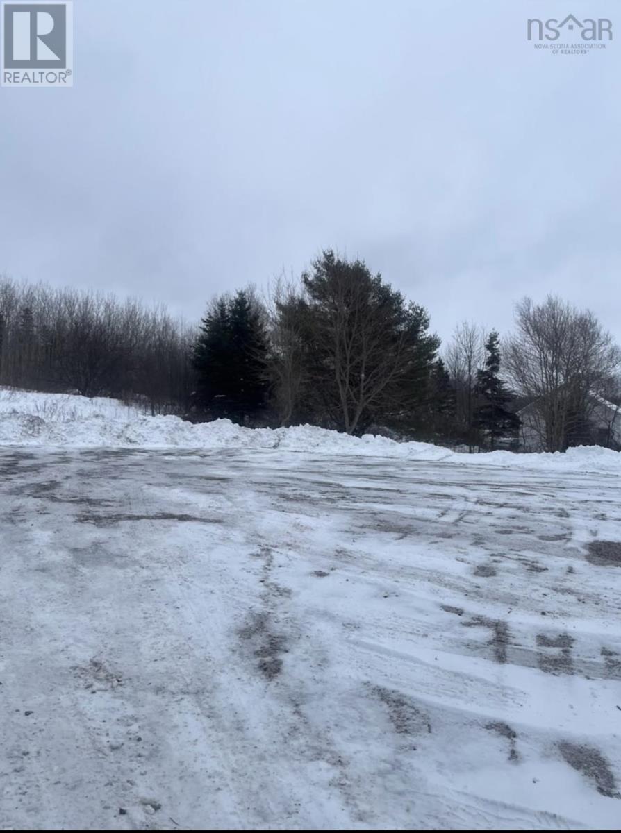 2028 Highway 2 South Bar, South Bar, Nova Scotia  B1N 3H6 - Photo 4 - 202603451