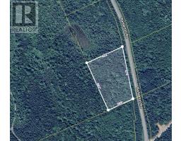 BARBERTON Road, sugar camp, Nova Scotia