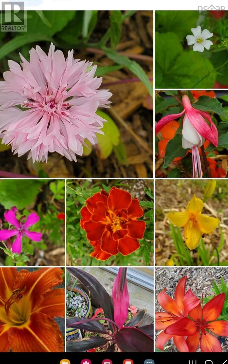 997 East River East Side Road, Glencoe, Nova Scotia  B0K 1B0 - Photo 8 - 202603509