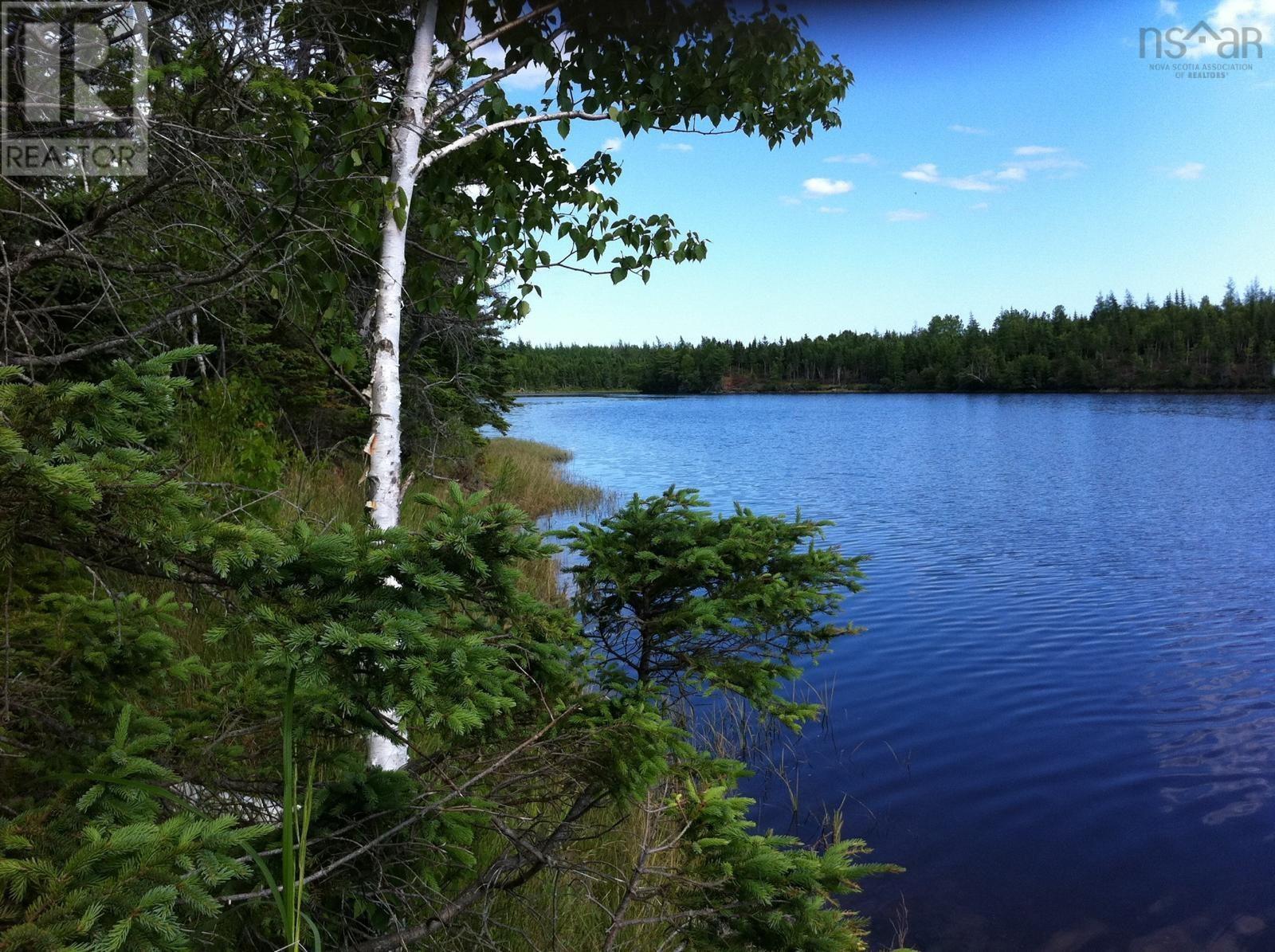 Lot 28 Helmuts Lane, Cleveland, Nova Scotia  B0E 1J0 - Photo 10 - 202603560