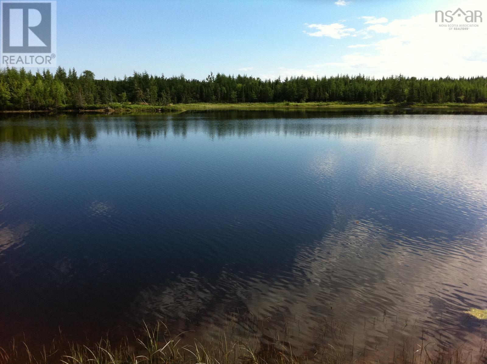 Lot 28 Helmuts Lane, Cleveland, Nova Scotia  B0E 1J0 - Photo 11 - 202603560