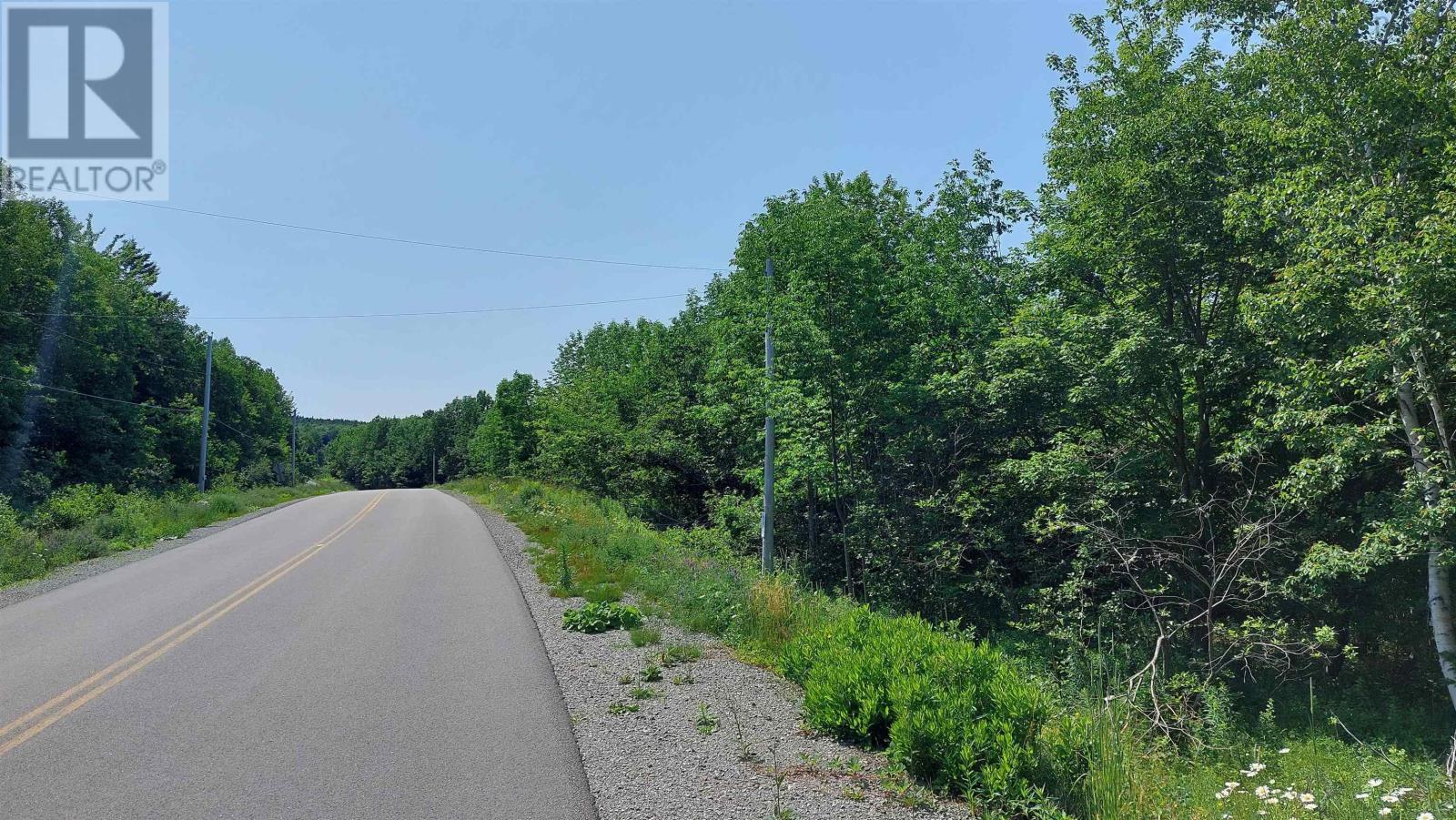 Lot 28 Helmuts Lane, Cleveland, Nova Scotia  B0E 1J0 - Photo 15 - 202603560
