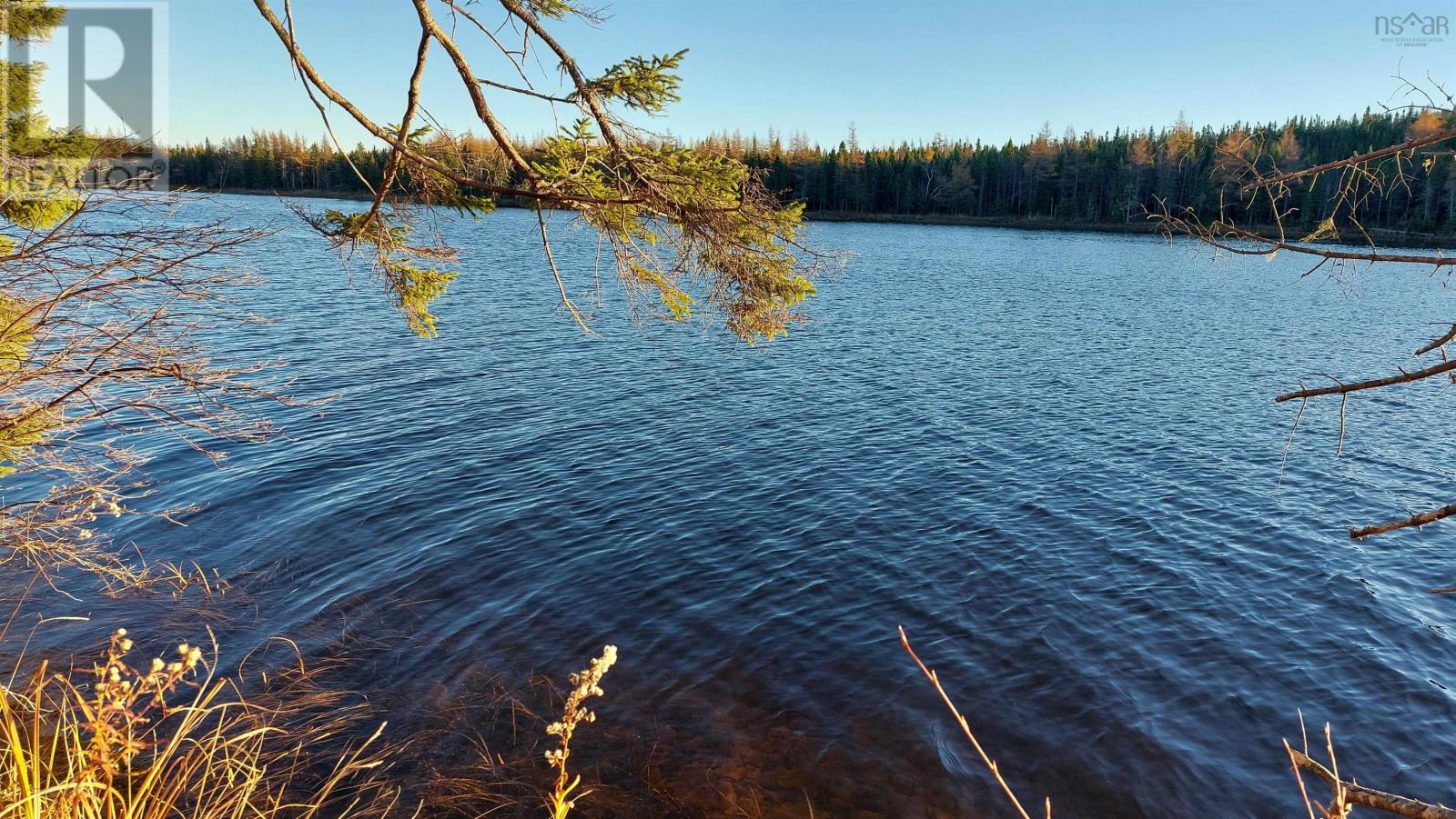 Lot 28 Helmuts Lane, Cleveland, Nova Scotia  B0E 1J0 - Photo 3 - 202603560