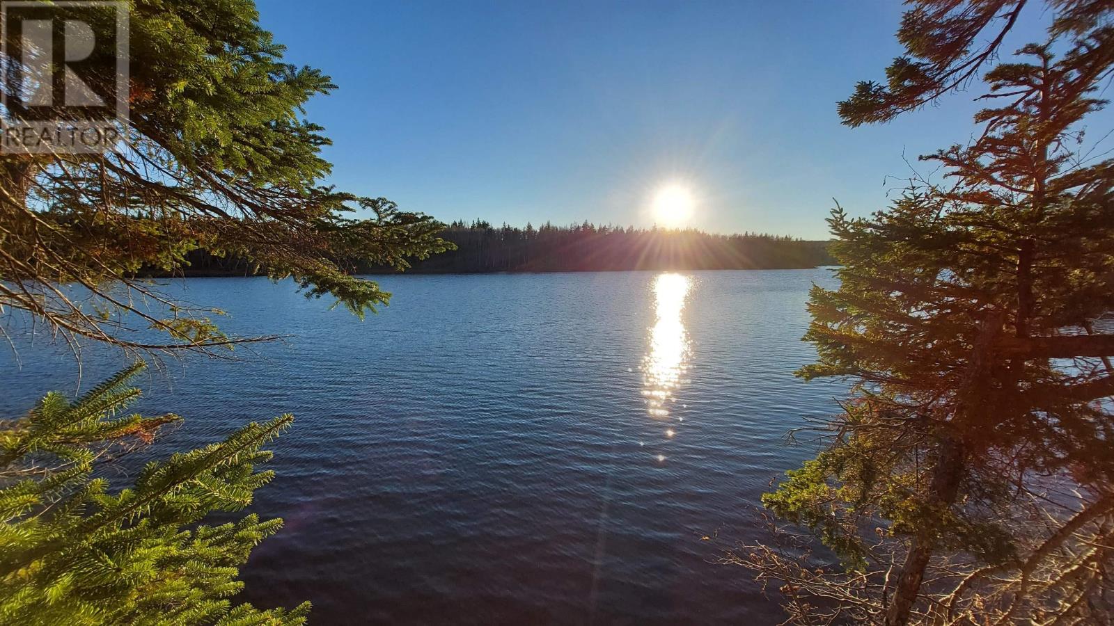 Lot 28 Helmuts Lane, Cleveland, Nova Scotia  B0E 1J0 - Photo 7 - 202603560