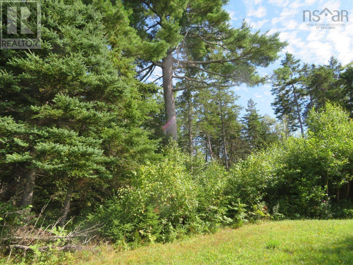 Lot 2005-2 Island Road Extension, Malagash, Nova Scotia  B0K 1E0 - Photo 10 - 202603591