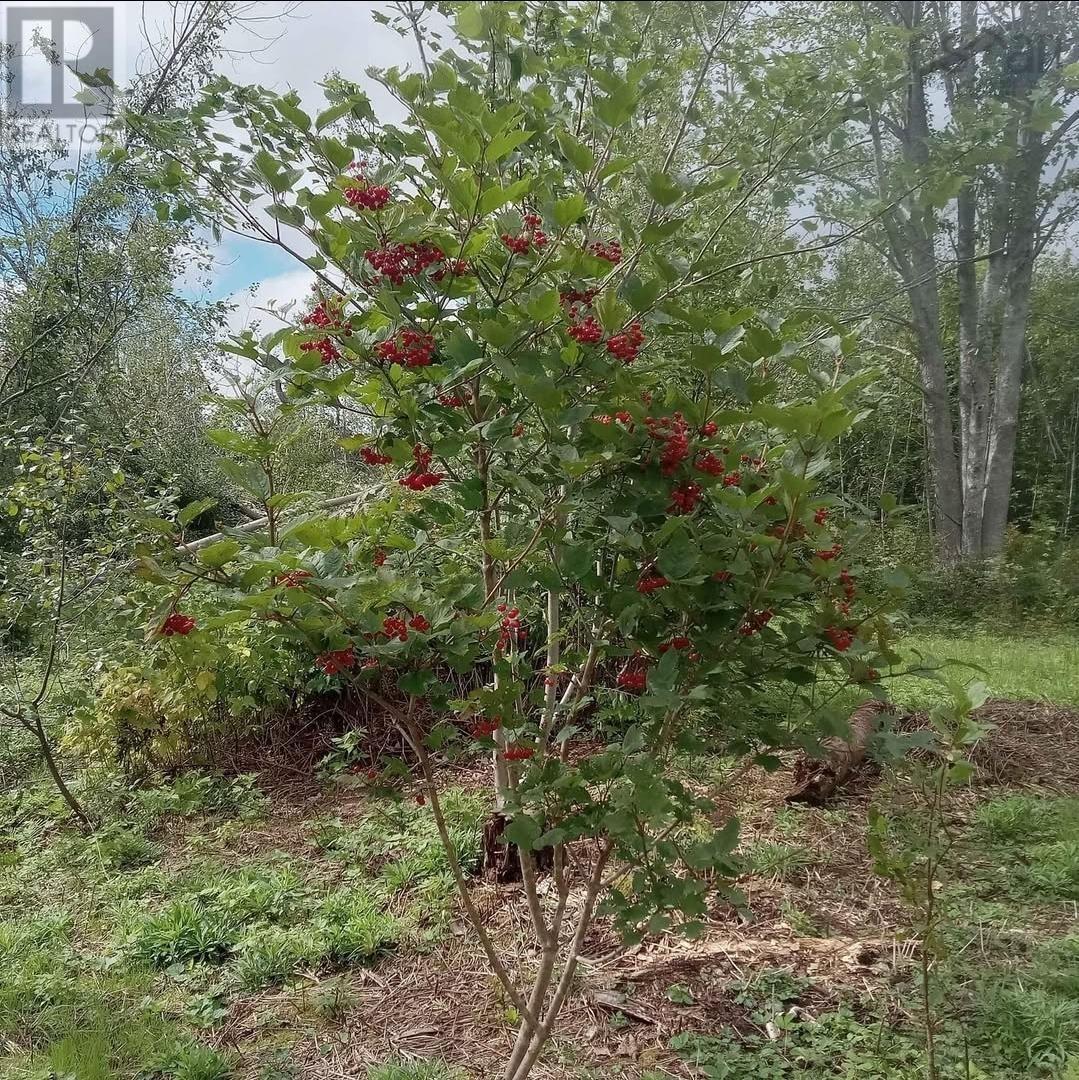 5734 Pictou Landing Road, Pictou Landing, Nova Scotia  B0K 1X0 - Photo 3 - 202603620