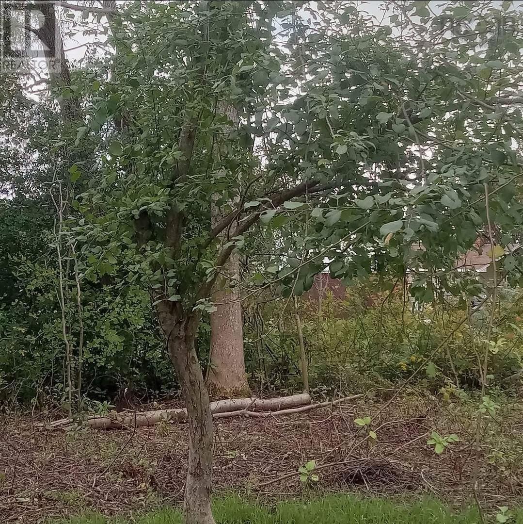 5734 Pictou Landing Road, Pictou Landing, Nova Scotia  B0K 1X0 - Photo 4 - 202603620