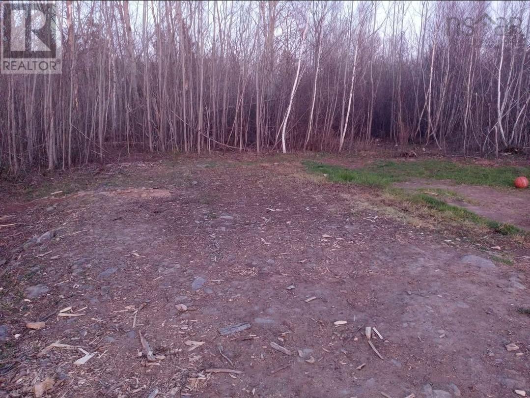 5734 Pictou Landing Road, Pictou Landing, Nova Scotia  B0K 1X0 - Photo 7 - 202603620