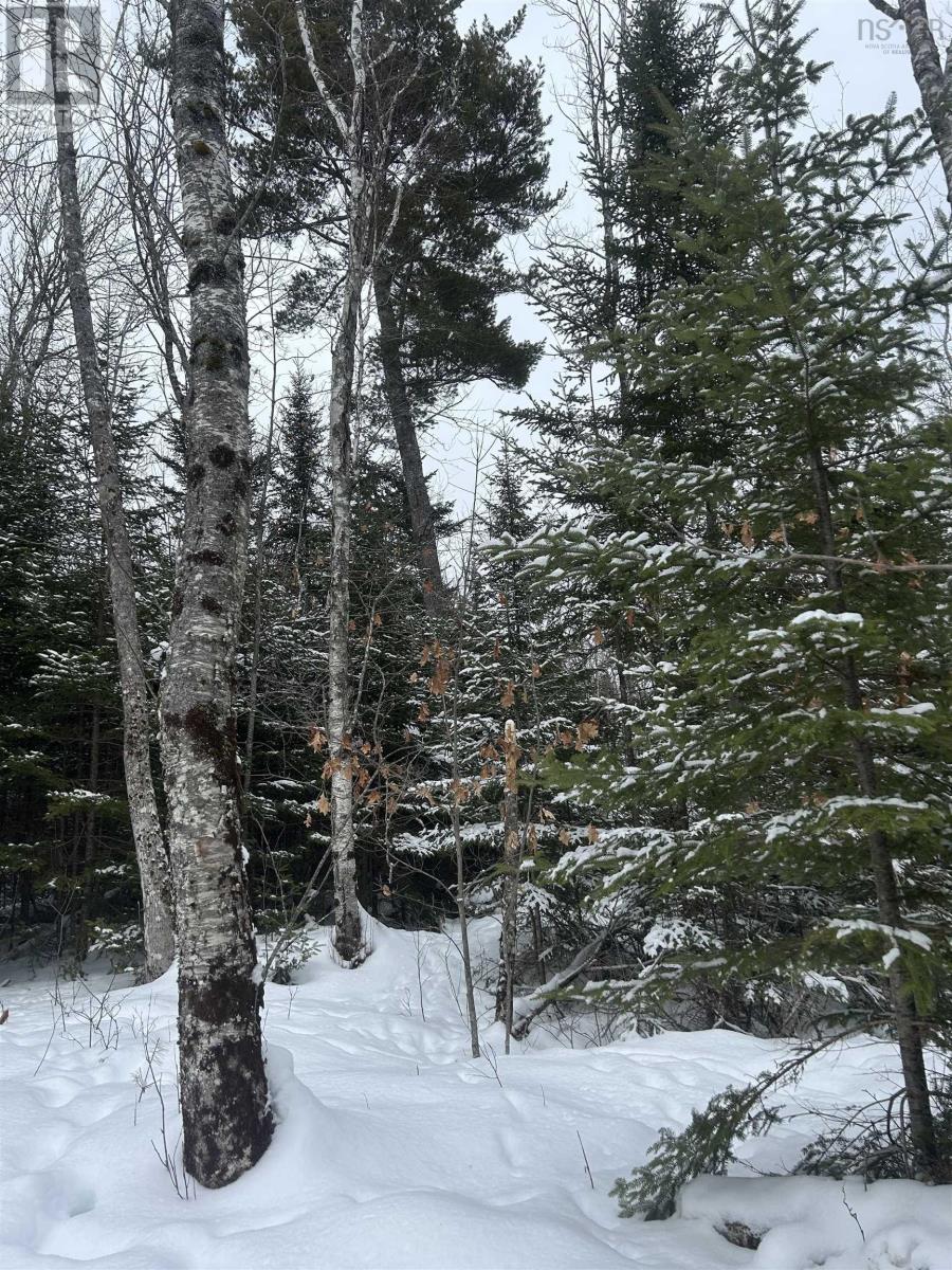 2 Highway 289 Highway, Middle Stewiacke, Nova Scotia  B0N 1C0 - Photo 5 - 202603639