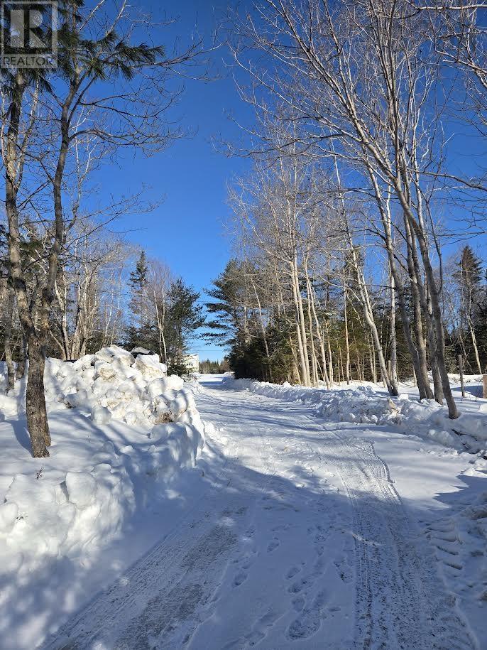 3367 Old Guysborough Road, Devon, Nova Scotia  B2T 1K8 - Photo 10 - 202603643