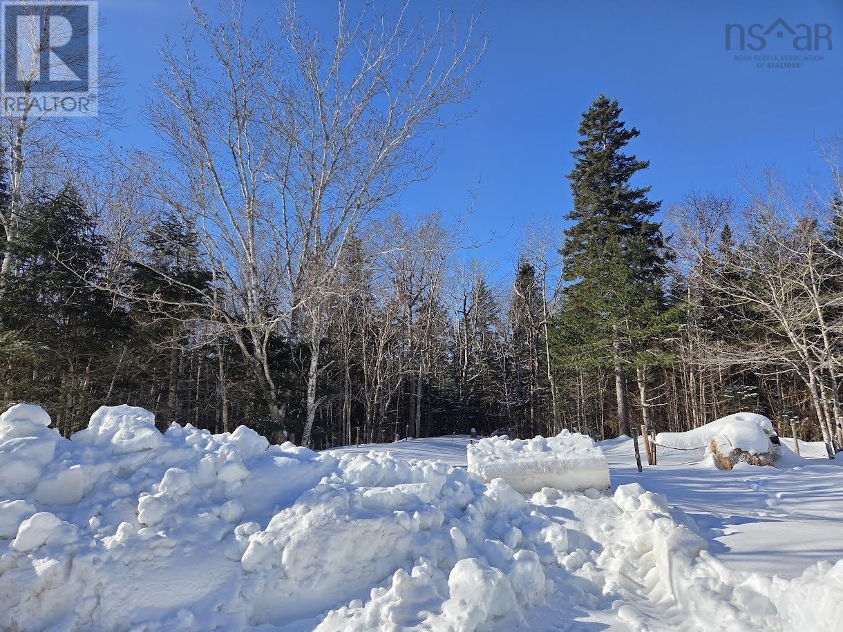 3367 Old Guysborough Road, Devon, Nova Scotia  B2T 1K8 - Photo 7 - 202603643