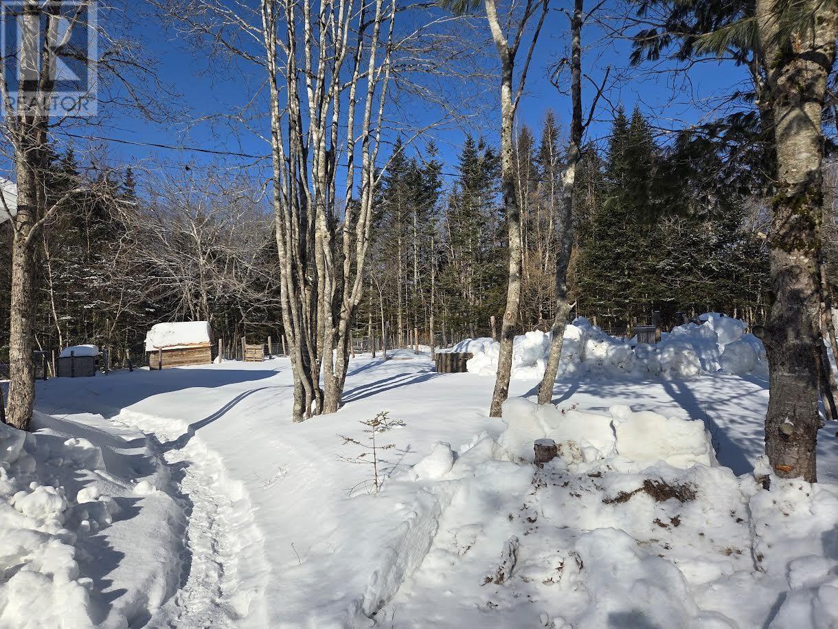 3367 Old Guysborough Road, Devon, Nova Scotia  B2T 1K8 - Photo 8 - 202603643