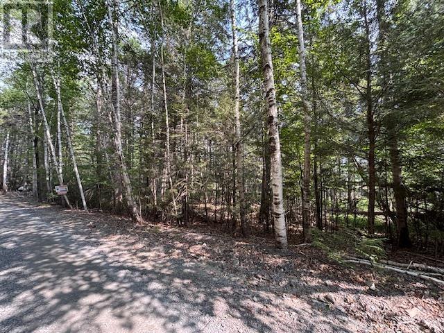 Lot 25 Beaver Dam Trail, Labelle, Nova Scotia  B0T 1E0 - Photo 11 - 202603653