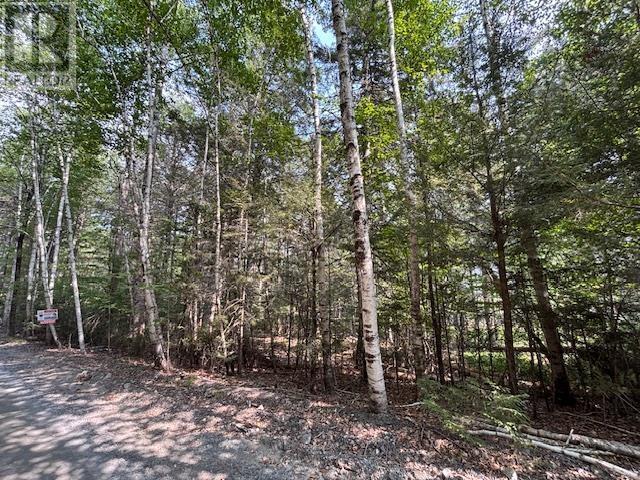 Lot 25 Beaver Dam Trail, Labelle, Nova Scotia  B0T 1E0 - Photo 12 - 202603653
