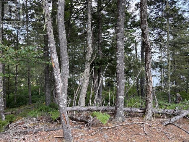 Lot 25 Beaver Dam Trail, Labelle, Nova Scotia  B0T 1E0 - Photo 25 - 202603653