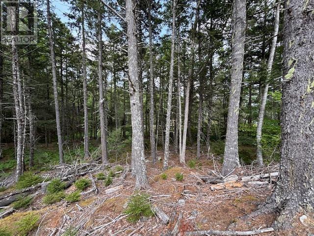 Lot 25 Beaver Dam Trail, Labelle, Nova Scotia  B0T 1E0 - Photo 27 - 202603653