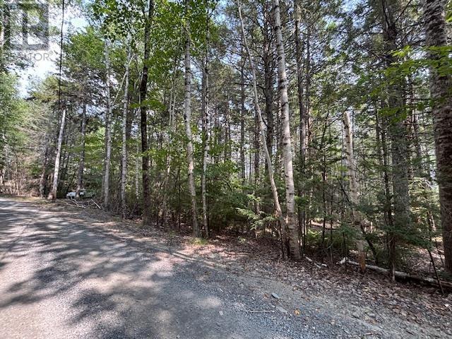 Lot 25 Beaver Dam Trail, Labelle, Nova Scotia  B0T 1E0 - Photo 9 - 202603653