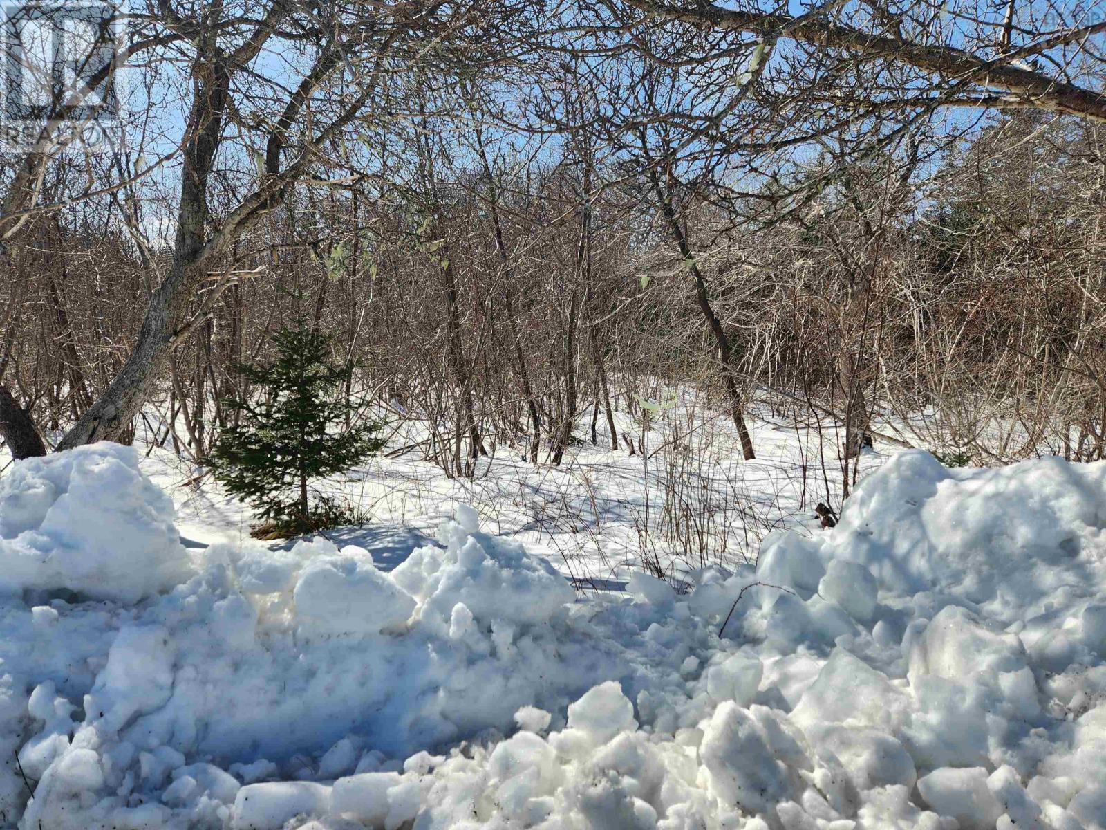Lot White Point 1 Road, White Point, Nova Scotia  B0T 1G0 - Photo 6 - 202603855
