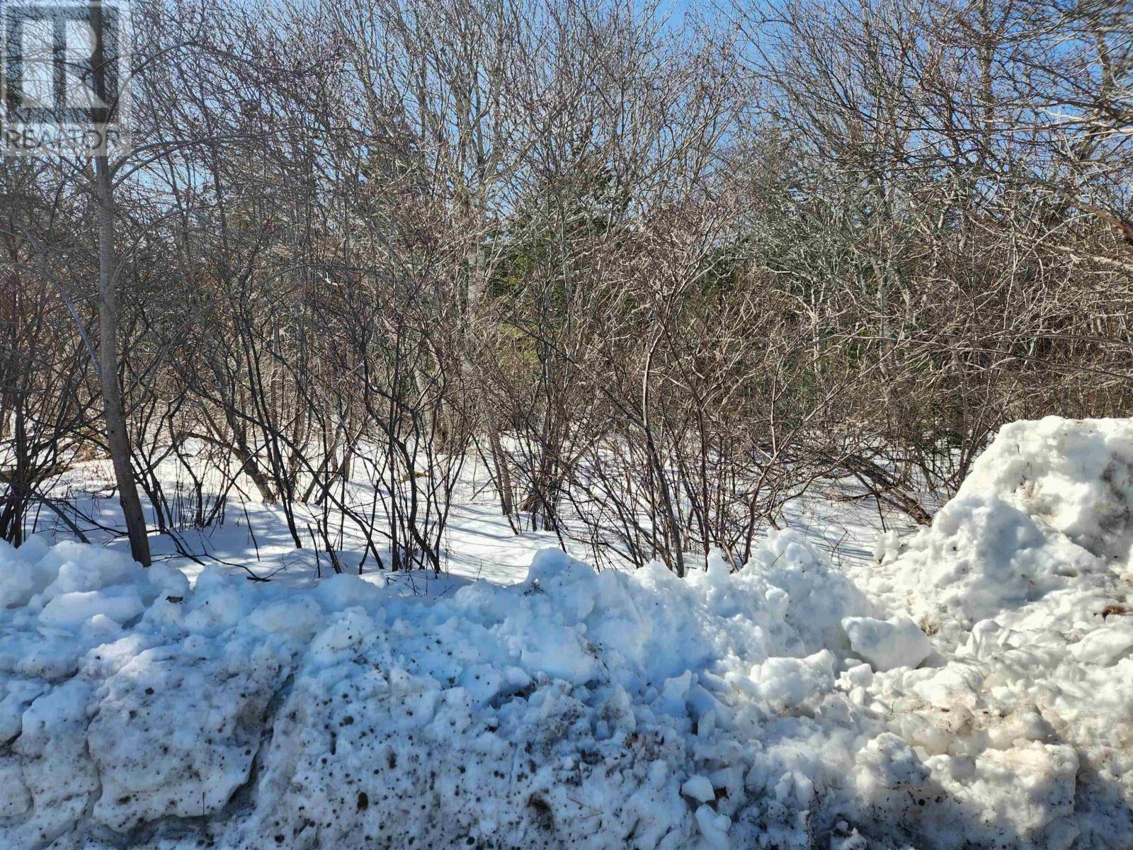 Lot White Point 1 Road, White Point, Nova Scotia  B0T 1G0 - Photo 6 - 202603857