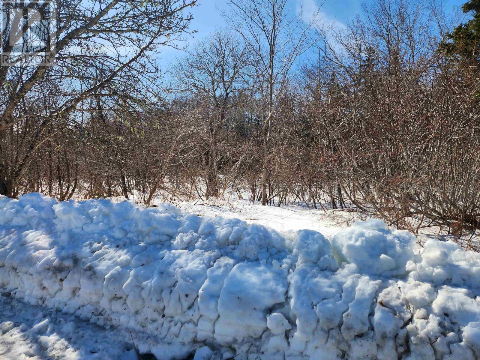 Lot White Point 1 Road, White Point, Nova Scotia  B0T 1G0 - Photo 7 - 202603857